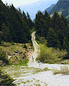 Widget image