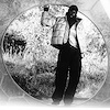 Widget image
