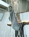 Widget image