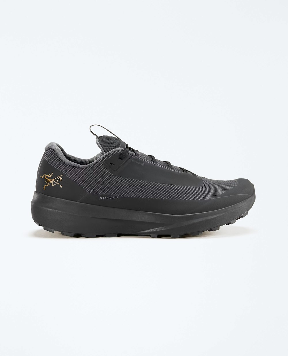 ARCTERYX NORVAN LD 4 GTX WOMEN'S
