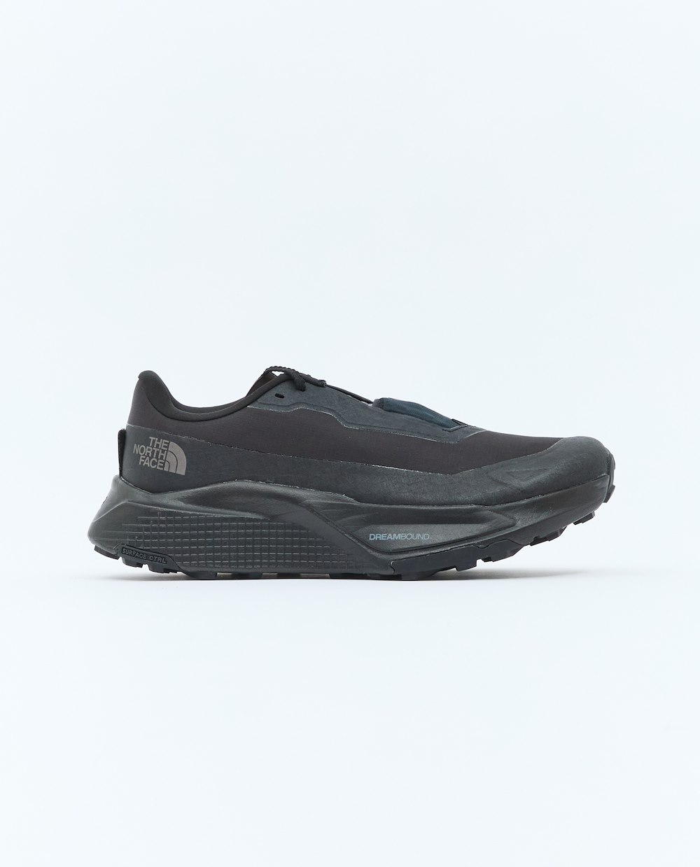THE NORTH FACE M ALTAMESA 500 V2 GORE-TEX