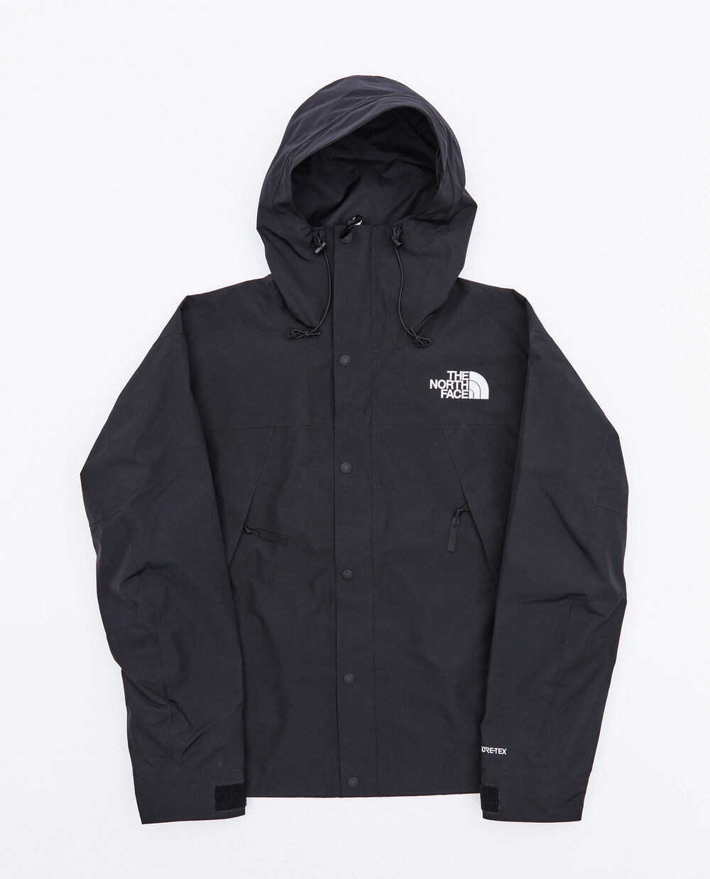 THE NORTH FACE M GTX MOUNTAIN JACKET