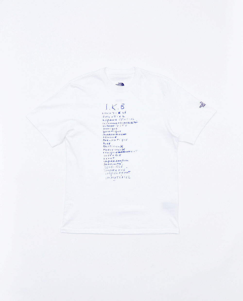 THE NORTH FACE M IKB LOGOWEAR TEE