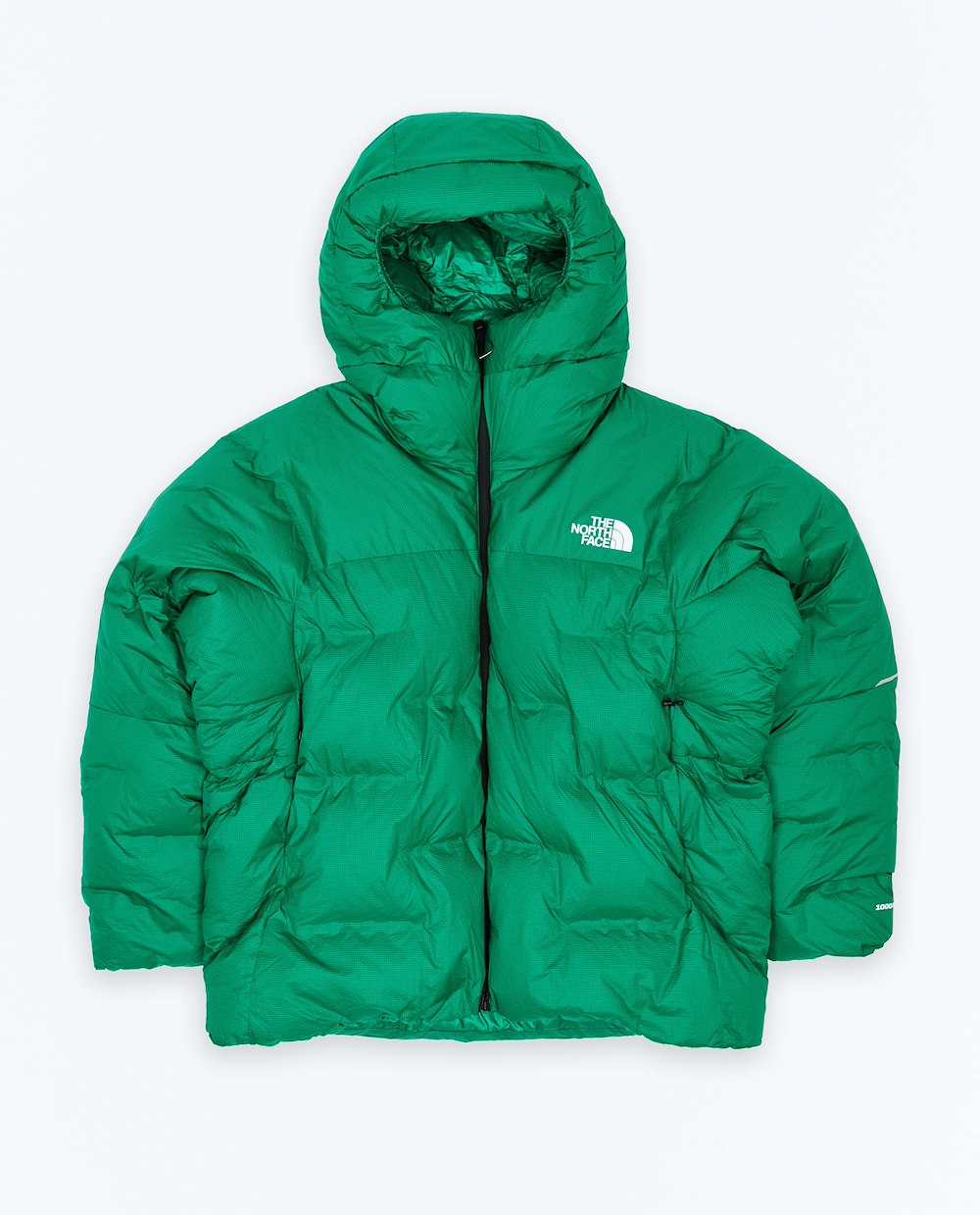 THE NORTH FACE M SUMMIT CLOUD DOWN AMK PARKA