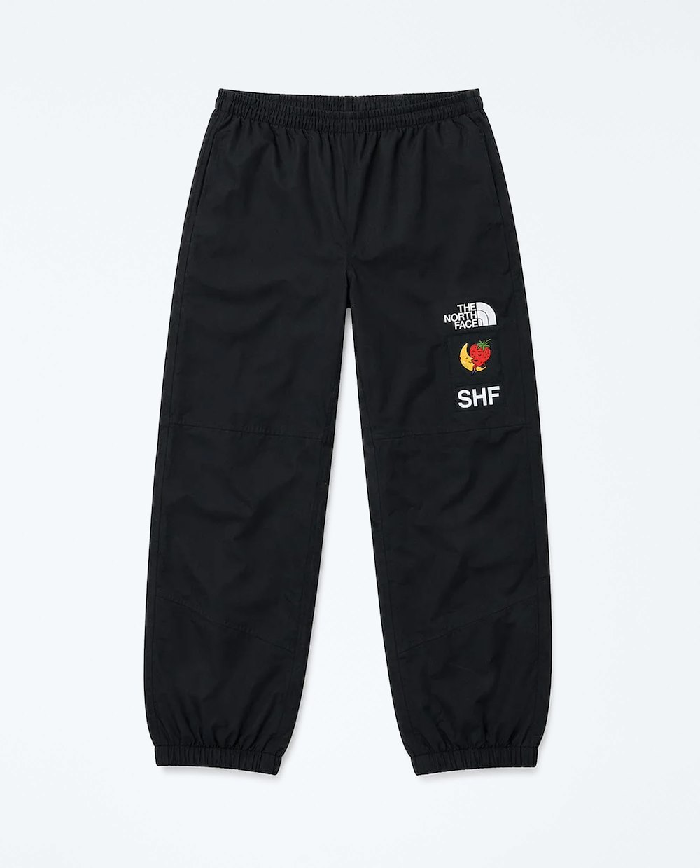 THE NORTH FACE MOUNTAIN PANT X SKY HIGH FARM