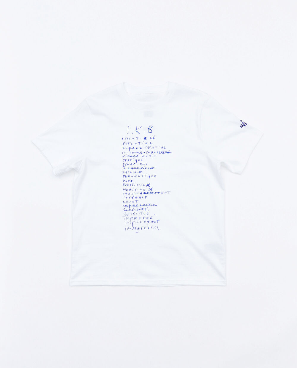 THE NORTH FACE W IKB LOGOWEAR TEE