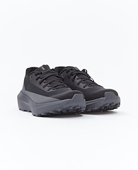 ARCTERYX NORVAN LD 4 W
