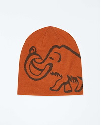 MAMMUT MAMMUT LOGO BEANIE REVERSIBLE
