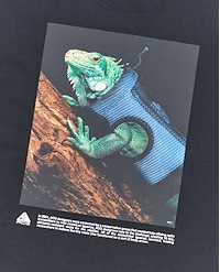 NIKE ACG M ACG DRI-FIT T-SHIRT