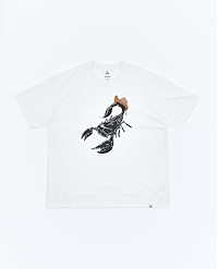 NIKE ACG M ACG SCORPION T-SHIRT