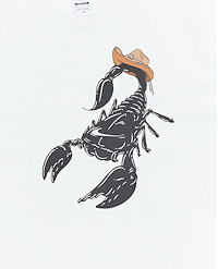 NIKE ACG M ACG SCORPION T-SHIRT