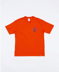 NIKE ACG M ACG TEE WILDWOOD