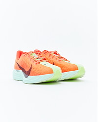 NIKE M PEGASUS PLUS