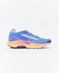 NIKE W PEGASUS TRAIL 5 GTX