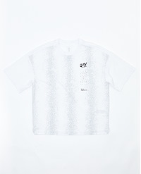 ON PERFORMANCE VOLT-T M