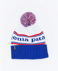 PATAGONIA POWDER TOWN BEANIE