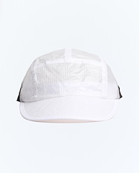 PURPLE MOUNTAIN OBSERVATORY ALLUA TECH CAP X DB