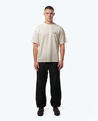 PURPLE MOUNTAIN OBSERVATORY ASCEND SS TEE