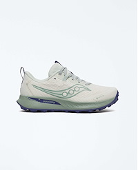 SAUCONY PEREGRINE 15 GTX WOMEN