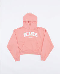 SPORTY & RICH WELLNESS IVY CROPPED HOODIE