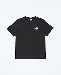 THE NORTH FACE M ALPINE FLOWER  S/S TEE