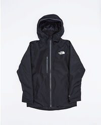 THE NORTH FACE M DAWNSTRIKE GORE-TEX INSULATED JACKET