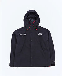 THE NORTH FACE M GORE-TEX MOUNTAIN JACKET