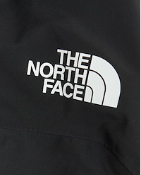 THE NORTH FACE M SUMMIT CAYESH GTX PRO JACKET