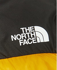 THE NORTH FACE M SUMMIT HIMALAYAN DOWN PARKA