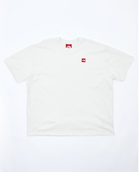 THE NORTH FACE M TNF RED BOX S/S TEE