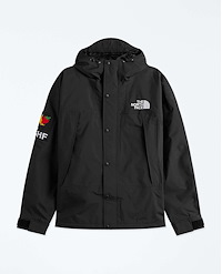THE NORTH FACE MOUNTAIN JACKET X SKY HIGH FARM