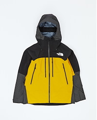 THE NORTH FACE W SUMMIT MOUNTAIN GTX PRO JACKET