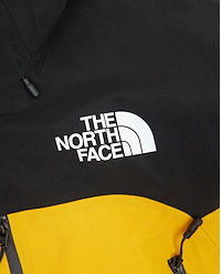 THE NORTH FACE W SUMMIT MOUNTAIN GTX PRO JACKET
