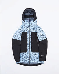 THE NORTH FACE W SUMMIT VERBIER GTX JACKET