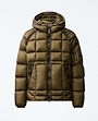 dd-shell-hooded-puffer-jacket-1