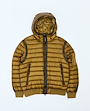dd-shell-hooded-lens-down-jacket-1